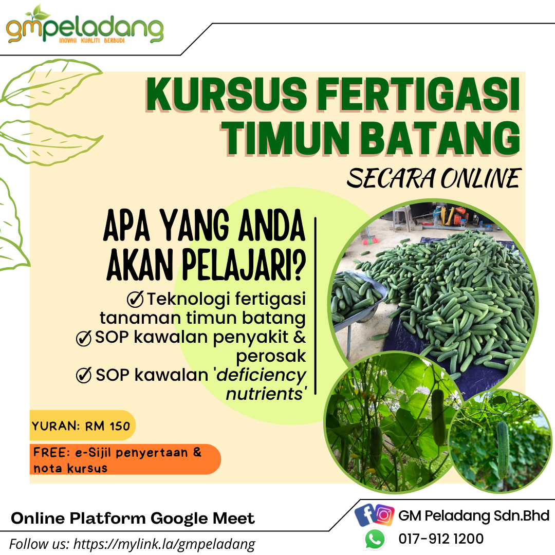 KURSUS FERTIGASI TIMUN BATANG (1 HARI) 